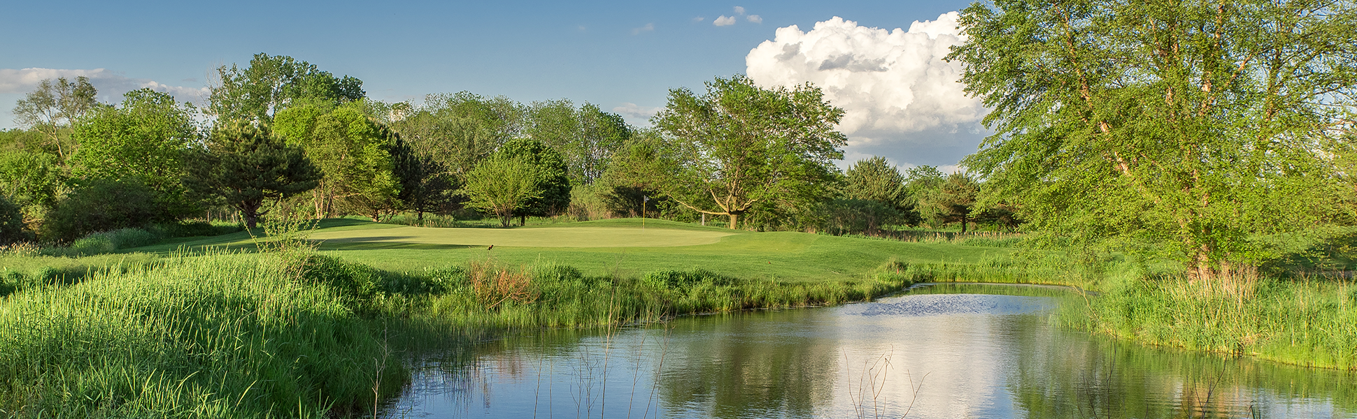 view of golf course green