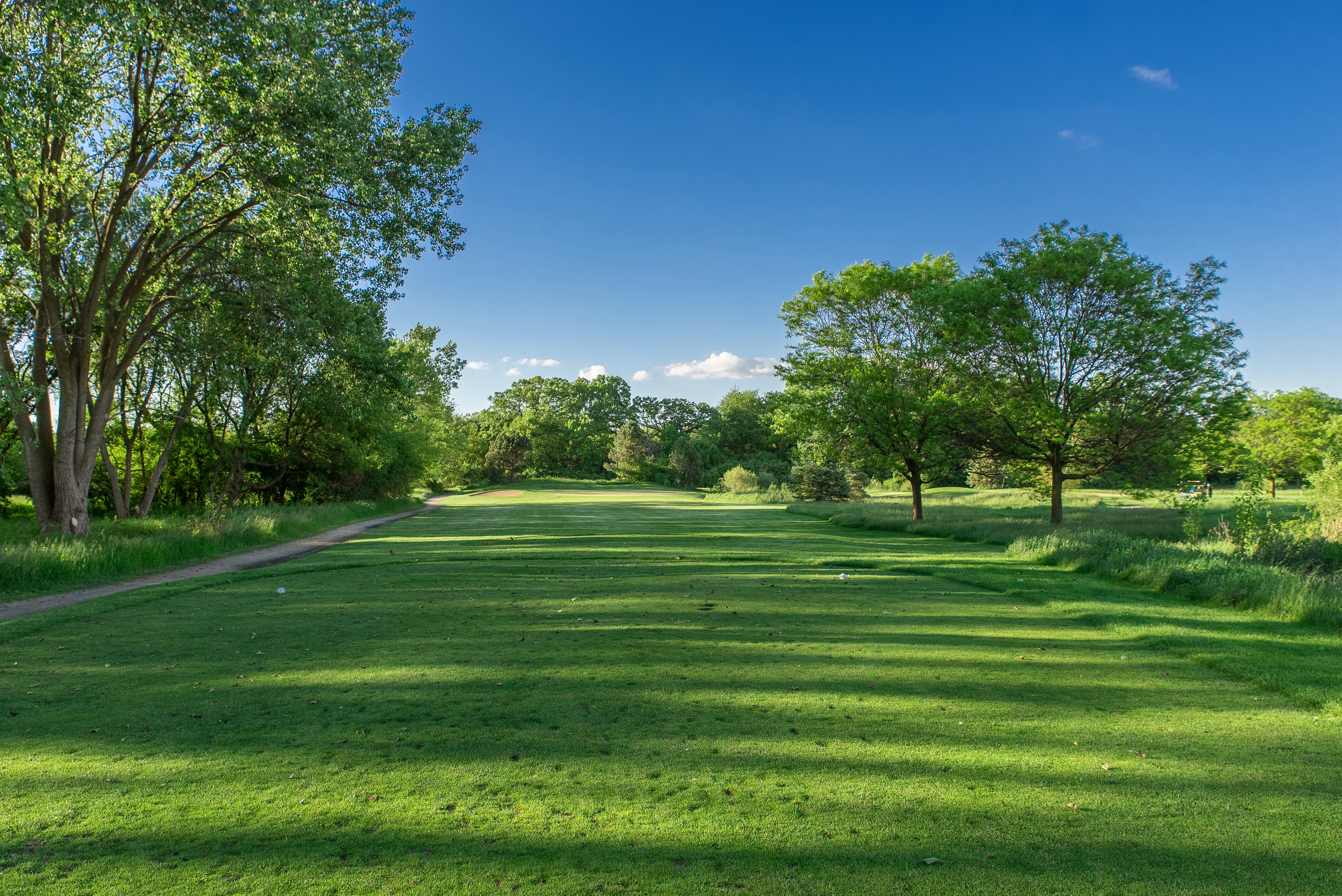 Image of golf ball on tee on grass.